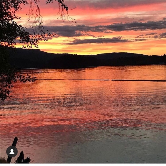 Meet your Posher, Ella - Picture 1 of 1